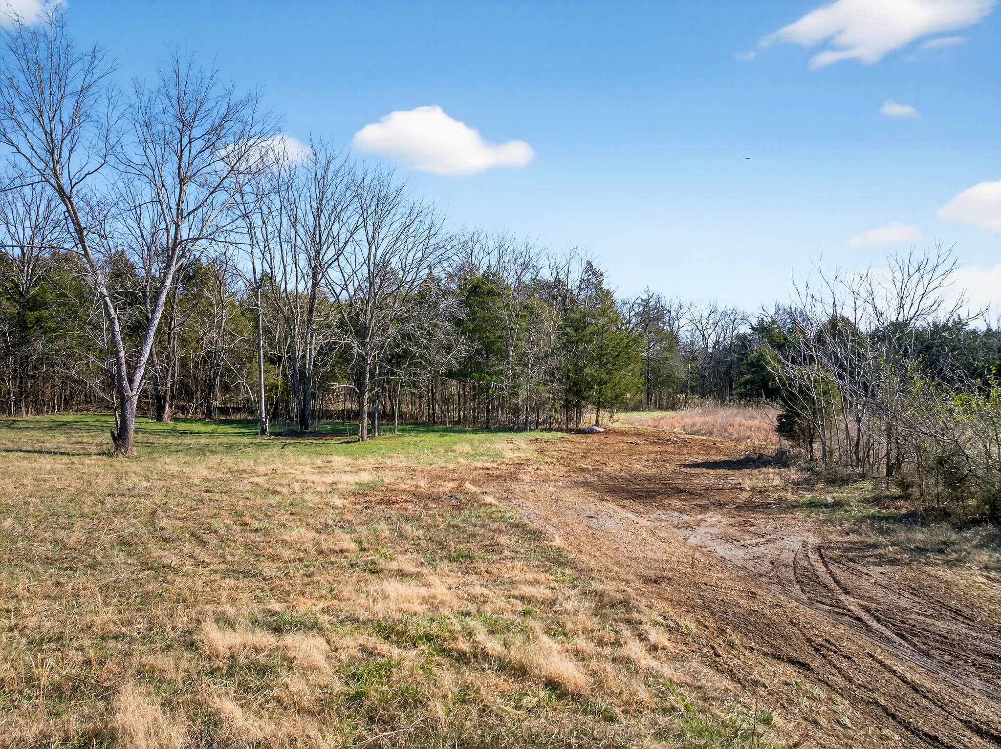 1 A Quarry Road Mount Juliet, TN 37122 - Photo 4 of 30 a view of a backyard