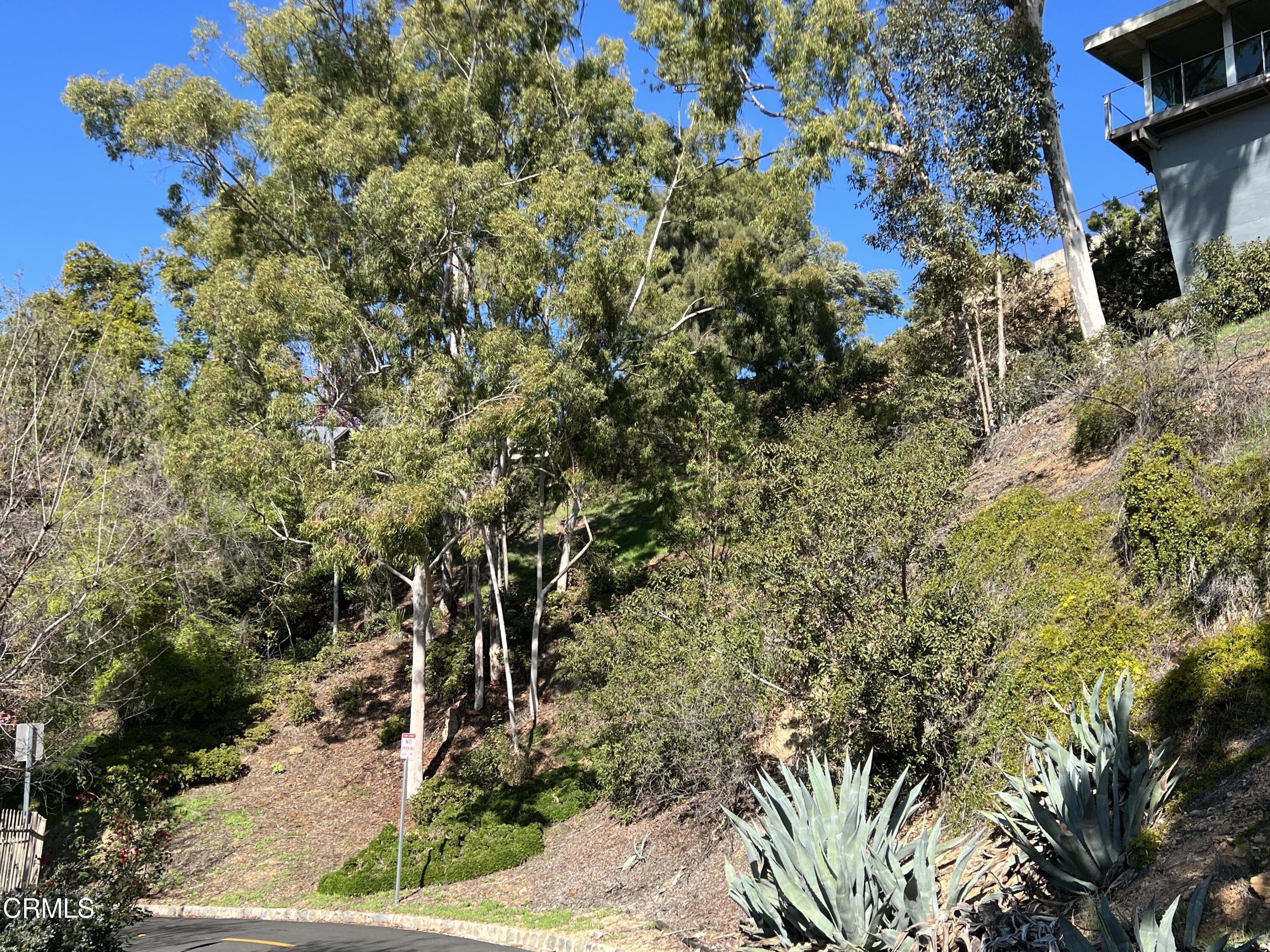 1290 Fairlawn Way Pasadena, CA 91105 - Photo 28 of 30 a view of a yard with plants