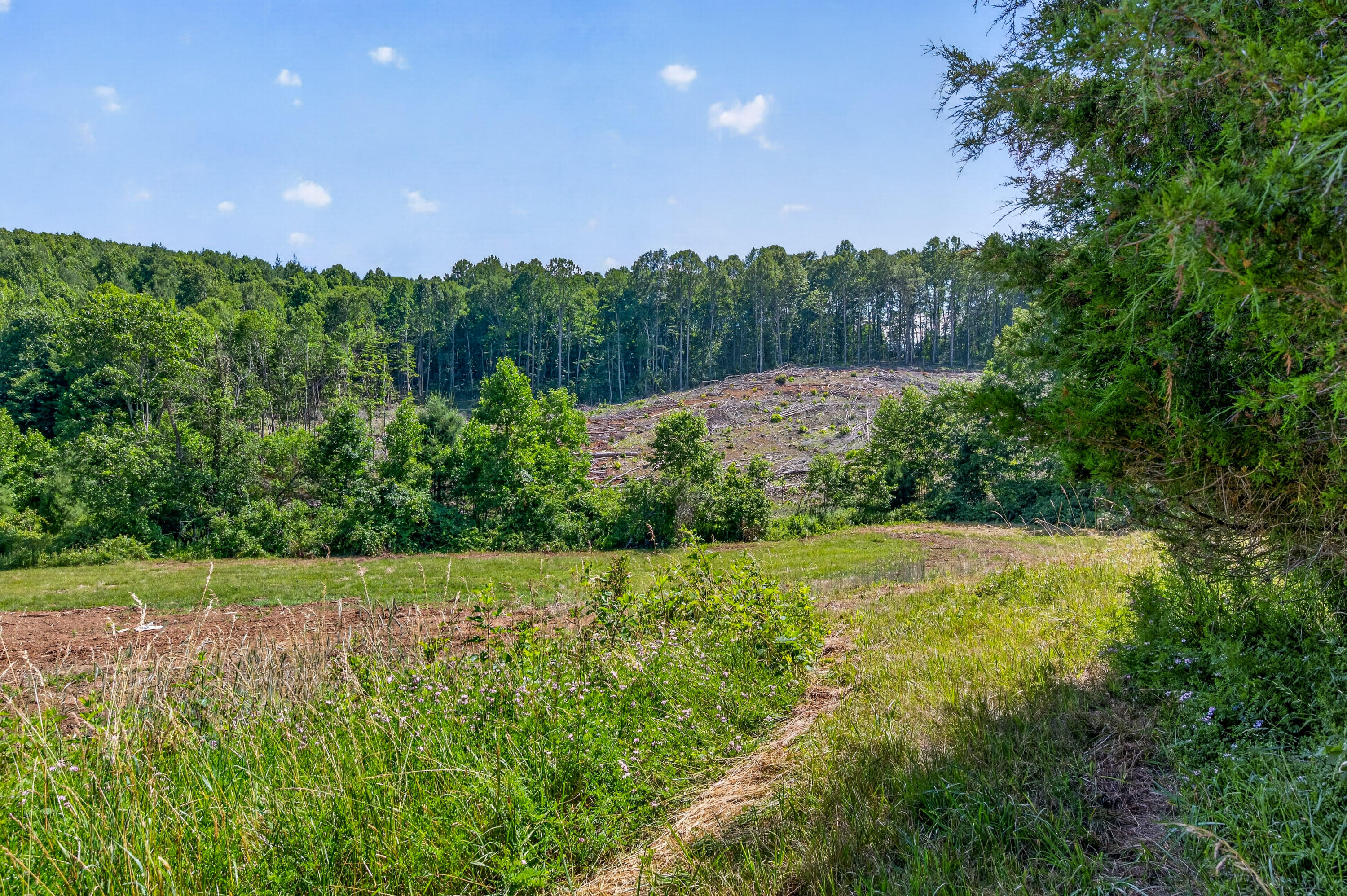 6196 Chances Creek Road Fancy Gap, VA 24328 - Photo 75 of 78 76