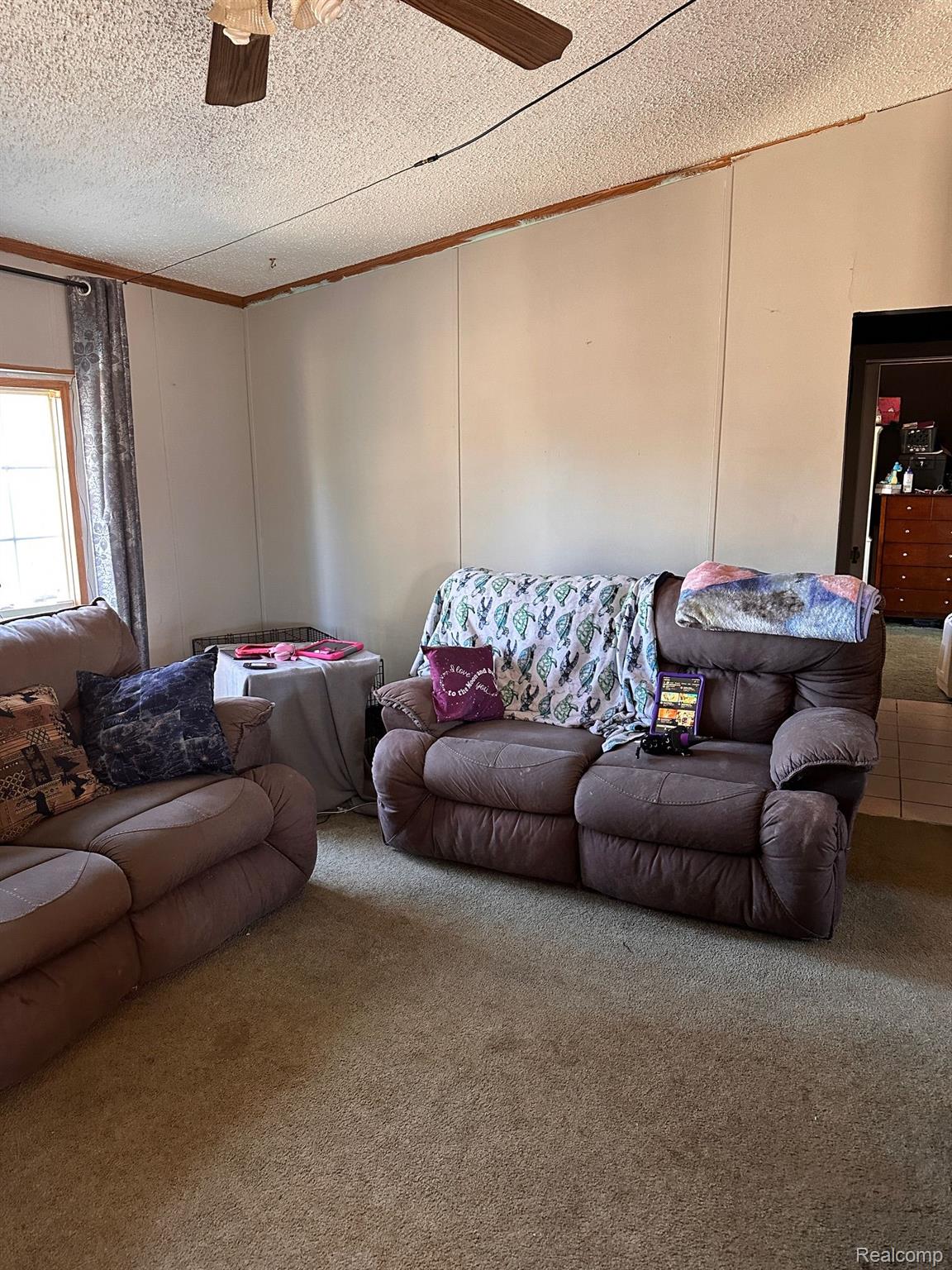 21171 West 6 Mile Road Reed City, MI 49677 - Photo 4 of 21 Gallery Image 4