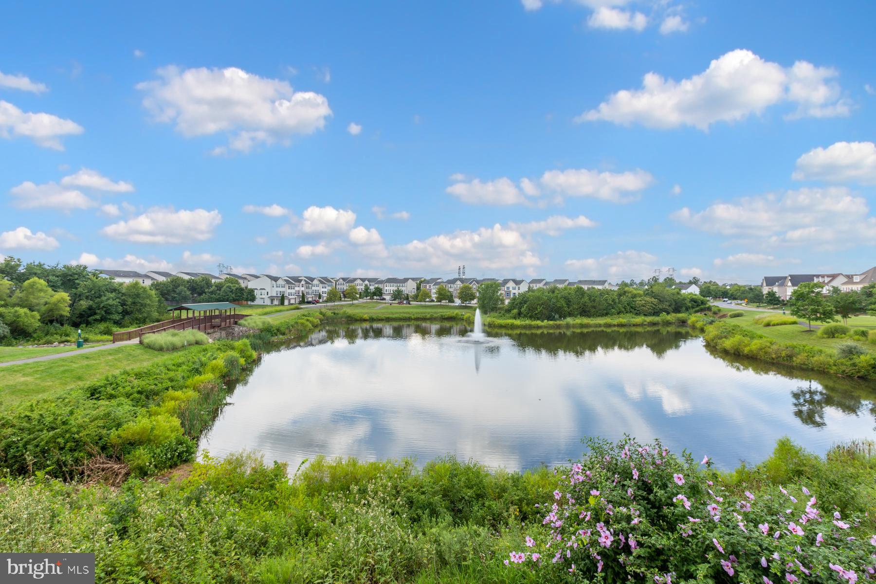 25125 Sweetspire Square Aldie, VA 20105 - Photo 19 of 55 Stunning View from the Deck