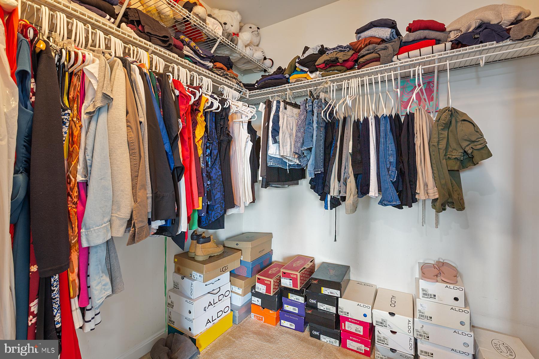 25125 Sweetspire Square Aldie, VA 20105 - Photo 26 of 55 One of the Master Walk in Closets