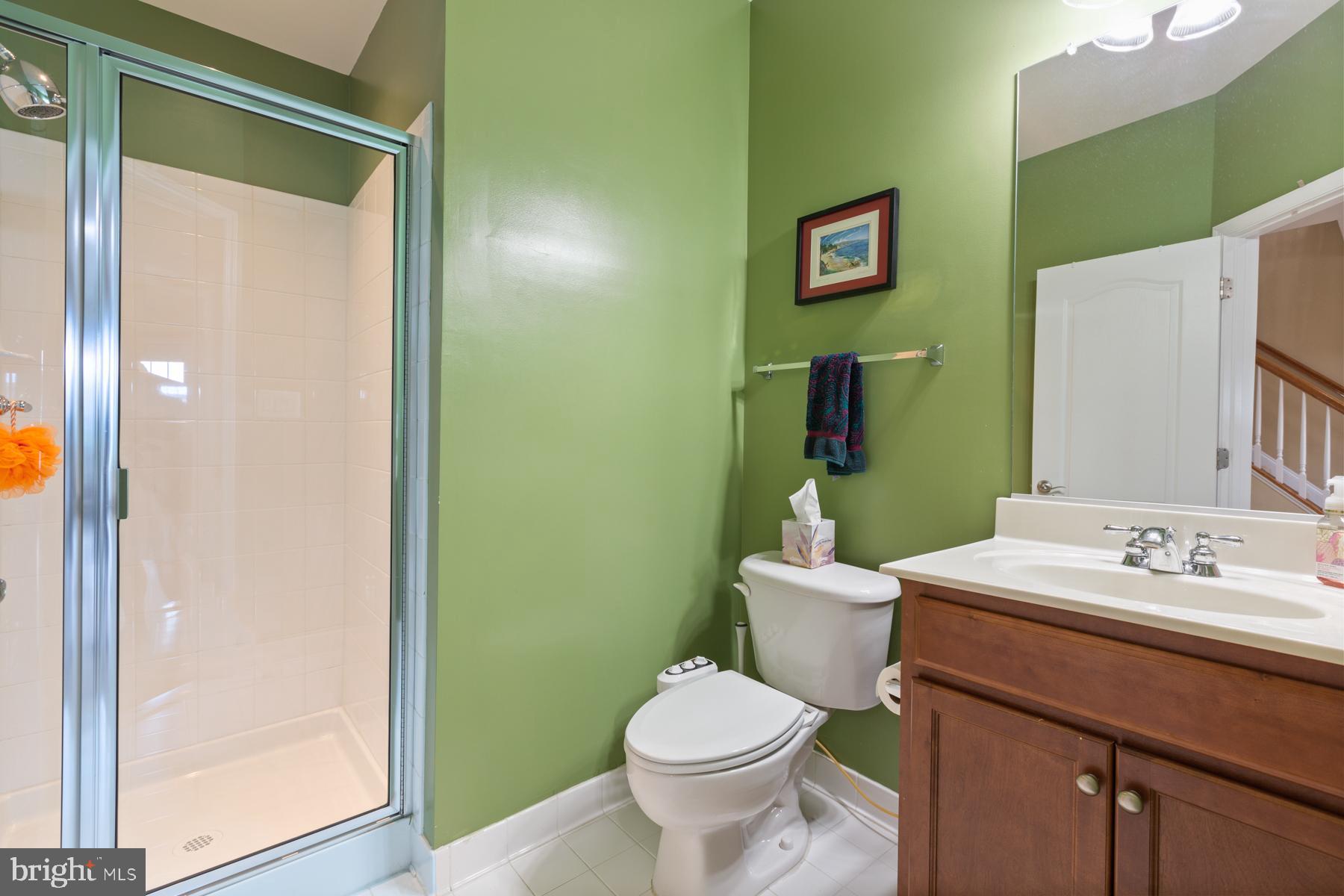 25125 Sweetspire Square Aldie, VA 20105 - Photo 39 of 55 Lower Level Full Bath