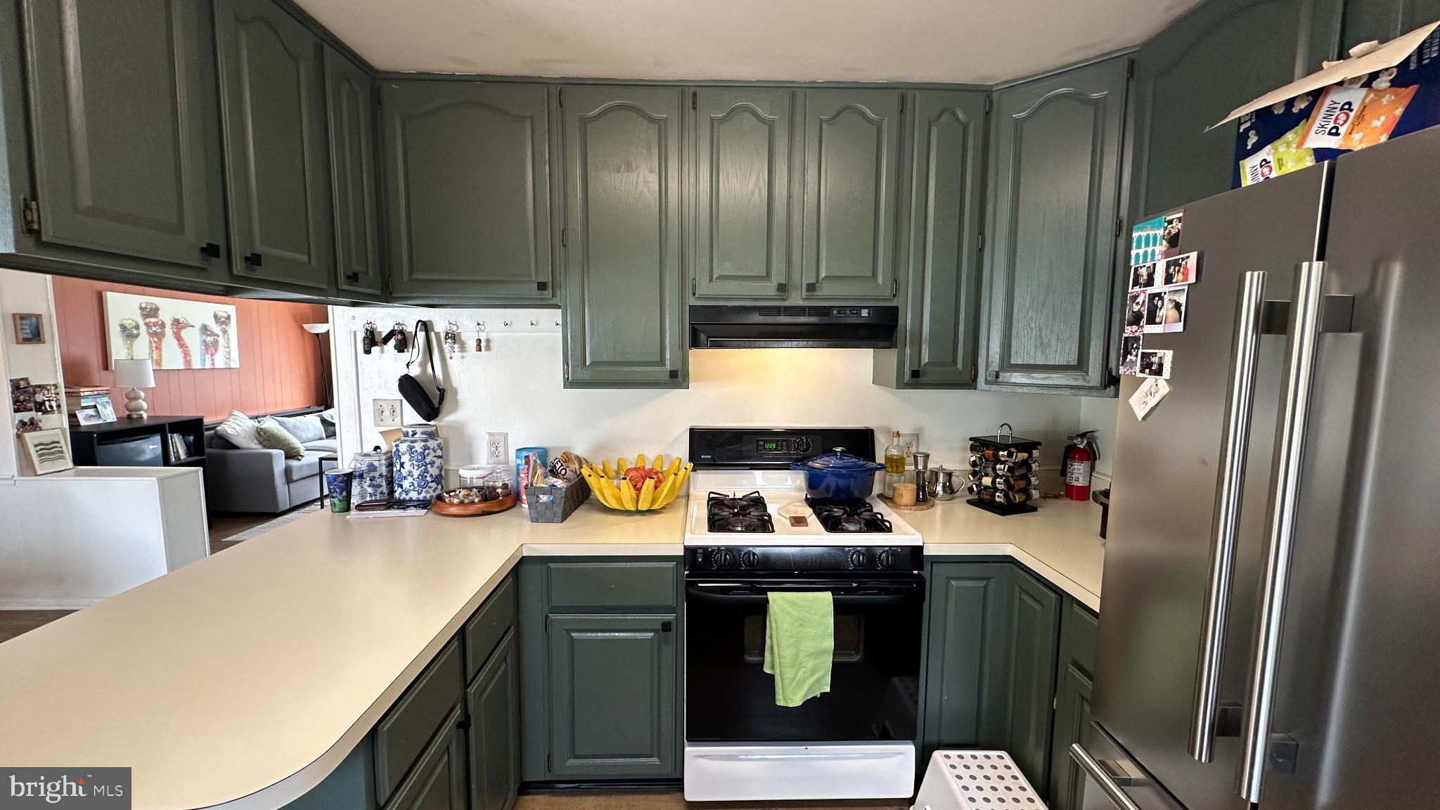 228 Embleton Road Owings Mills, MD 21117 - Photo 4 of 31 Charming kitchen with green cabinetry.