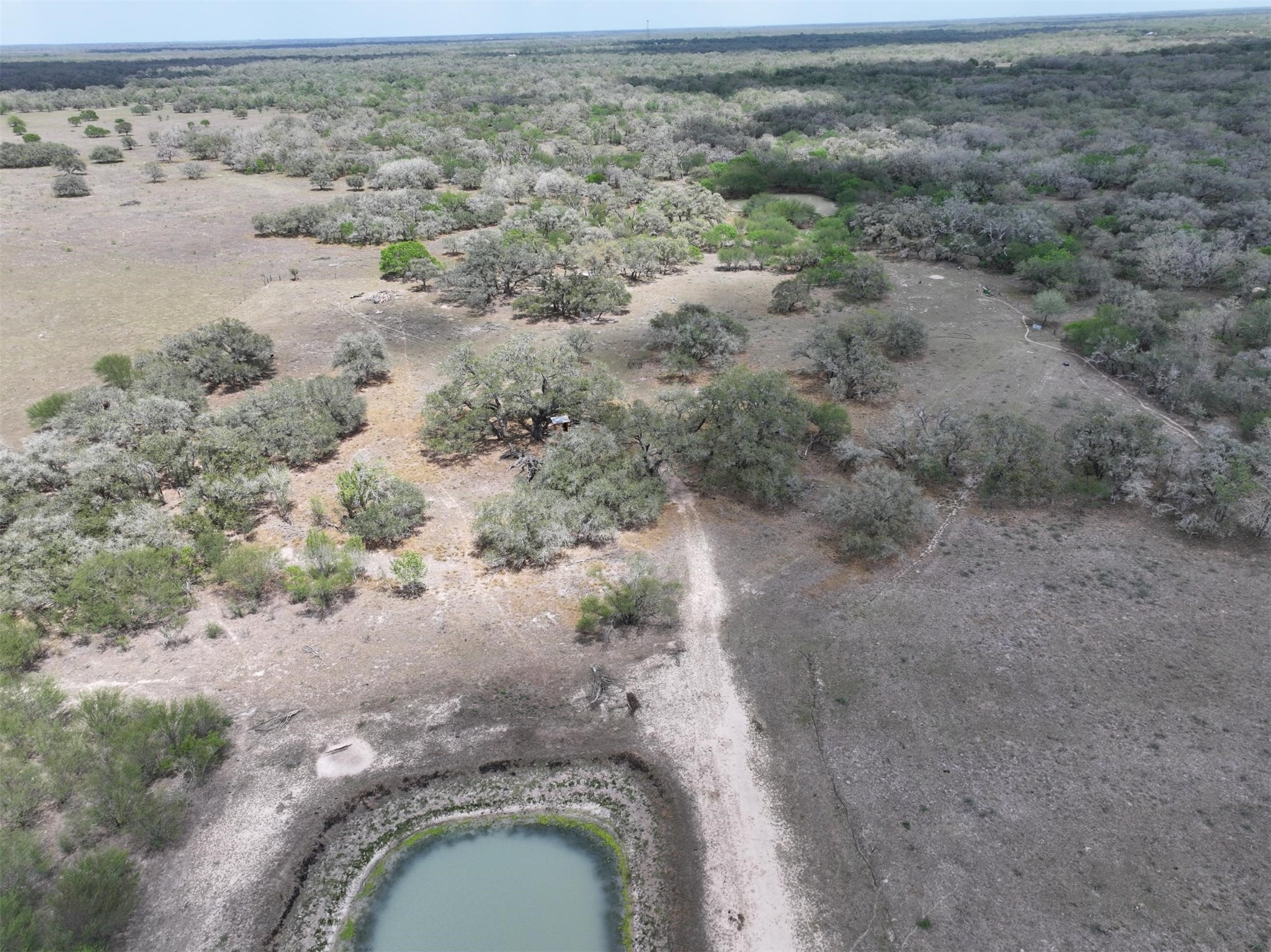 1385 Bego Road Goliad, TX 77963 - Photo 34 of 40