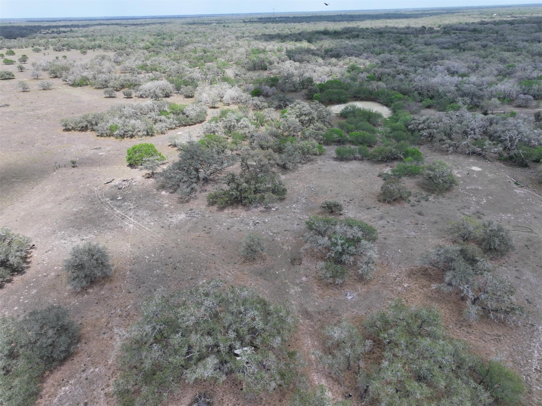 1385 Bego Road Goliad, TX 77963 - Photo 35 of 40