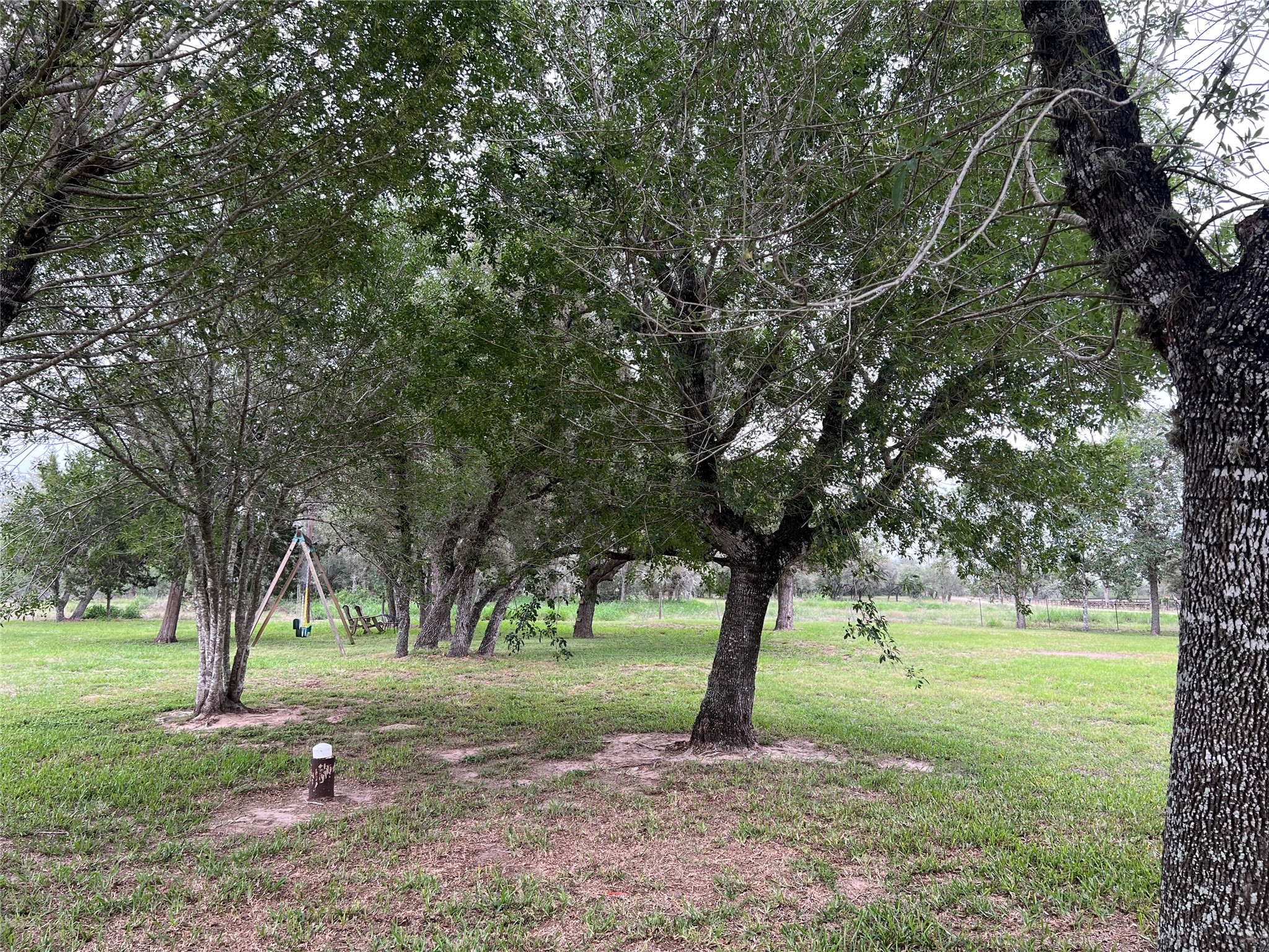 1385 Bego Road Goliad, TX 77963 - Photo 5 of 40