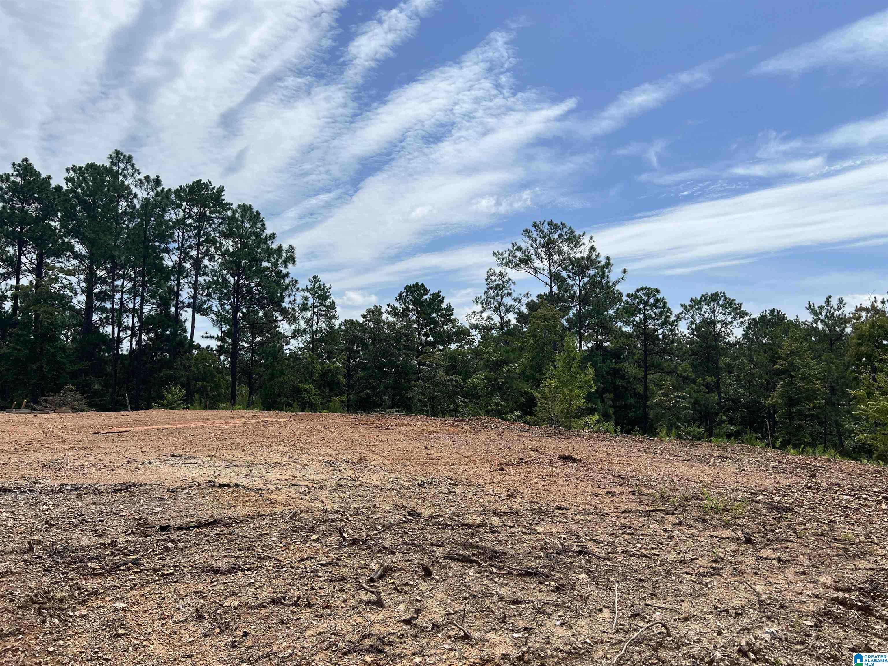 0 County Road 188 Clanton, AL 35046 - Photo 1 of 20