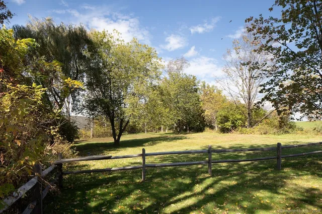a view of a yard with a tree