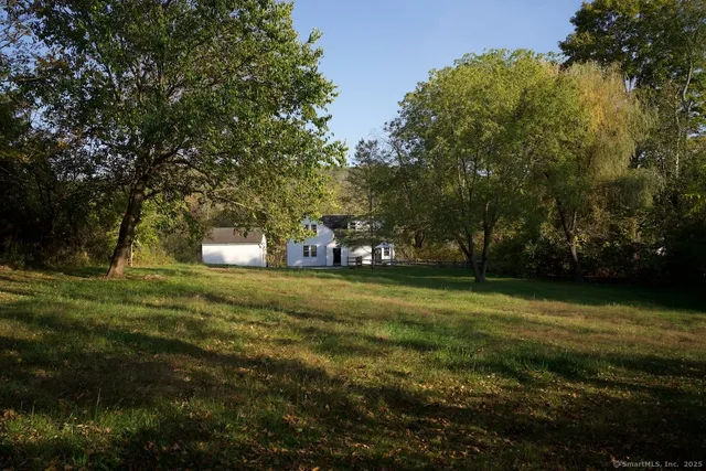 a view of a trees in a yard