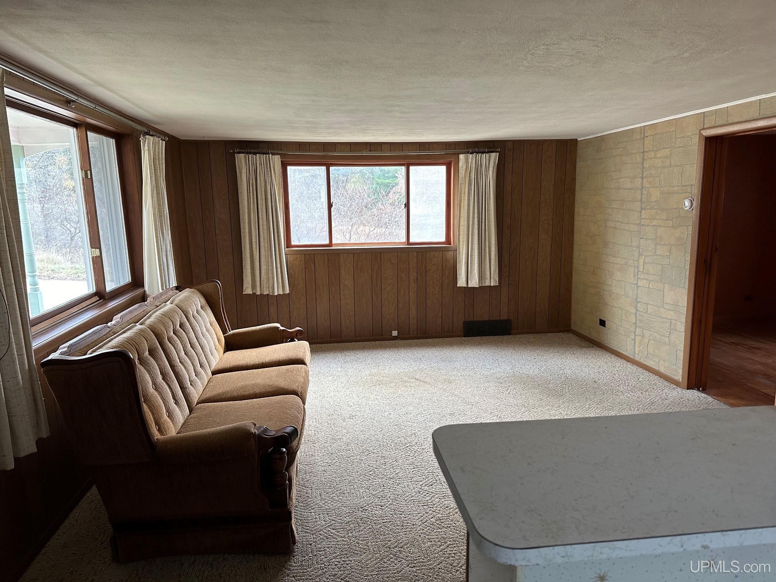 619 Lake Road Norway, MI 49870 - Photo 2 of 10