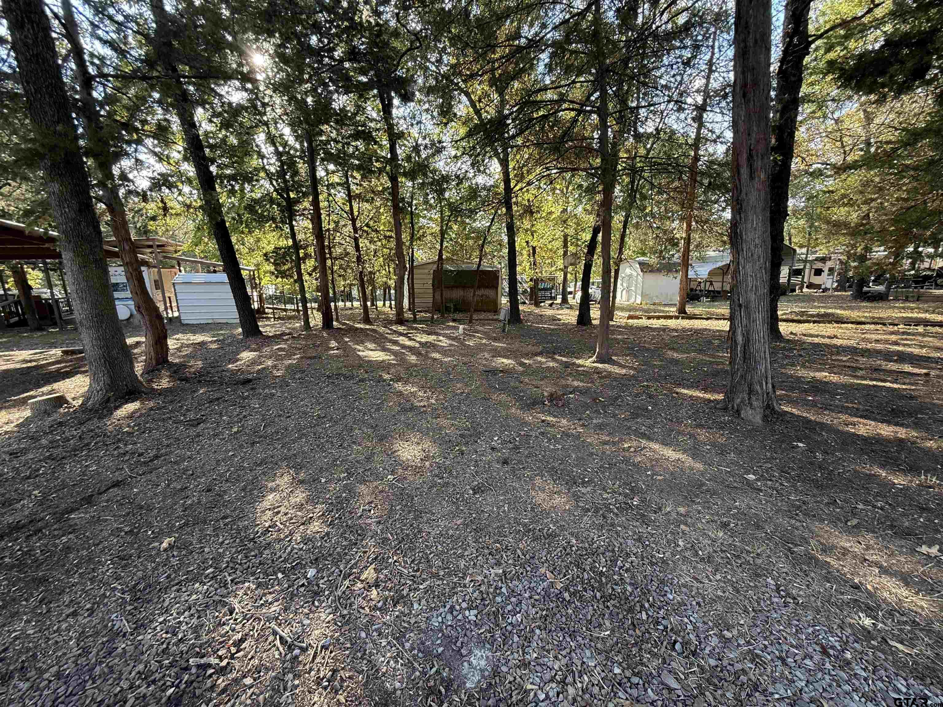 6435 FM 17 Yantis, TX 75497 - Photo 4 of 11 a view of a tree in the middle of a yard