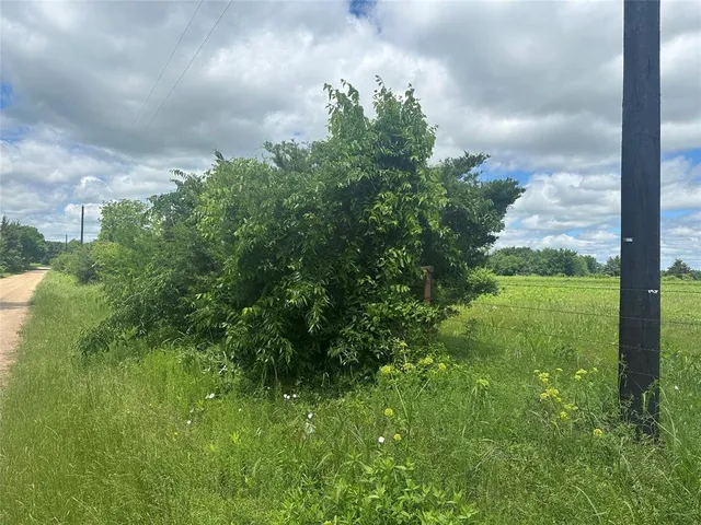 a backyard of a building with green space