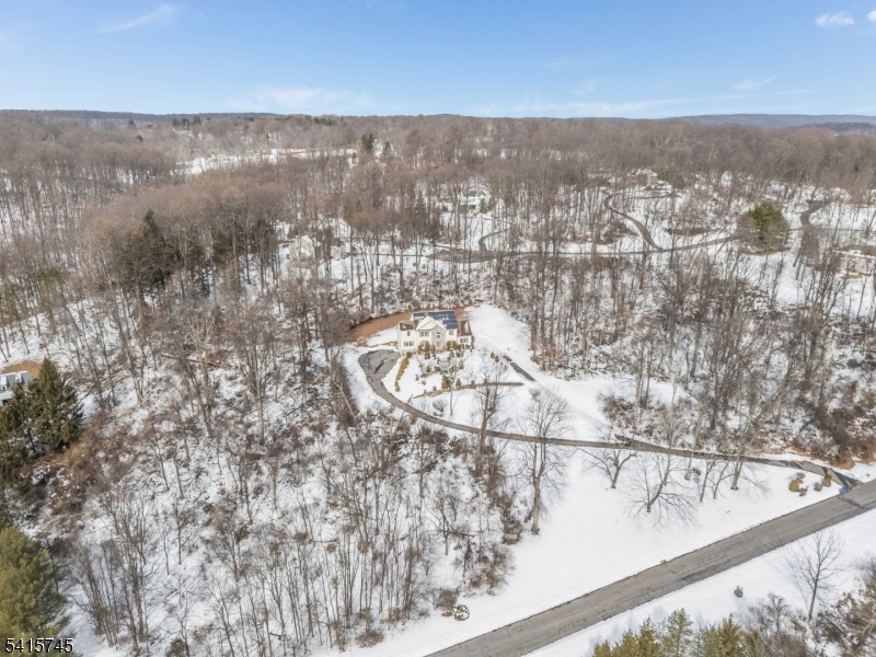 3 Elk Ridge Road Califon, NJ 07830 - Photo 4 of 15 a view of swimming pool from a balcony