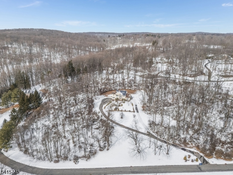 3 Elk Ridge Road Califon, NJ 07830 - Photo 6 of 15