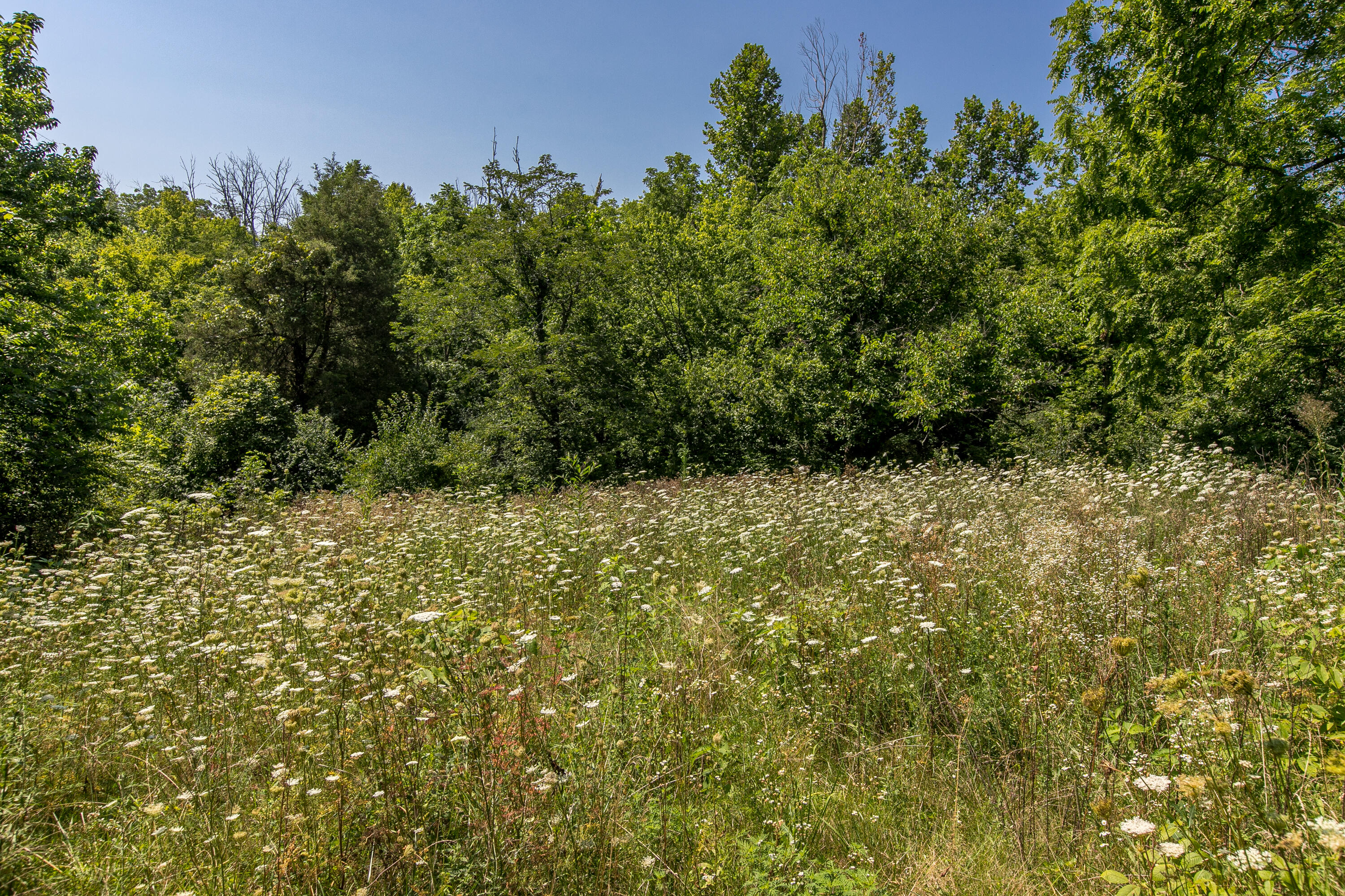 2132 Union Mill Road Nicholasville, KY 40356 - Photo 56 of 73 5-11