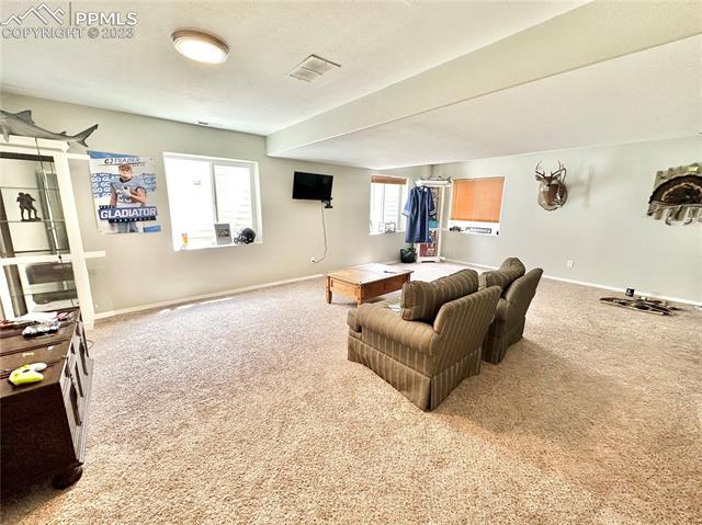 729 Rye Ridge Road Fountain, CO 80817 - Photo 8 of 12