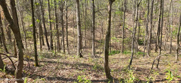 $295,200 | Ms-17, Coila, MS 38923