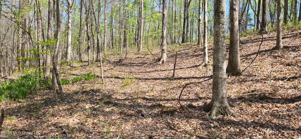 $295,200 | Ms-17, Coila, MS 38923