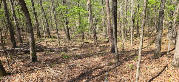 $295,200 | Ms-17, Coila, MS 38923