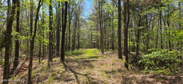 $295,200 | Ms-17, Coila, MS 38923