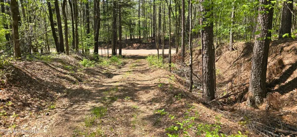 $295,200 | Ms-17, Coila, MS 38923