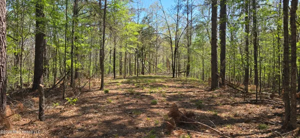 $295,200 | Ms-17, Coila, MS 38923