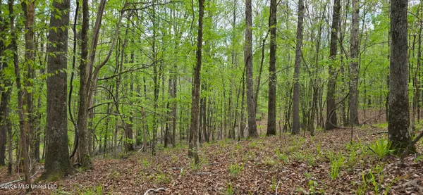 $295,200 | Ms-17, Coila, MS 38923