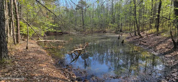 $295,200 | Ms-17, Coila, MS 38923