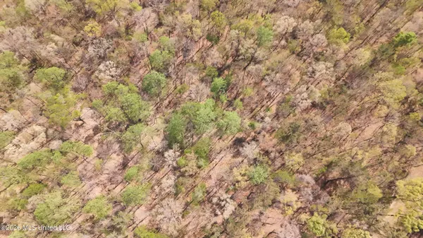 $295,200 | Ms-17, Coila, MS 38923