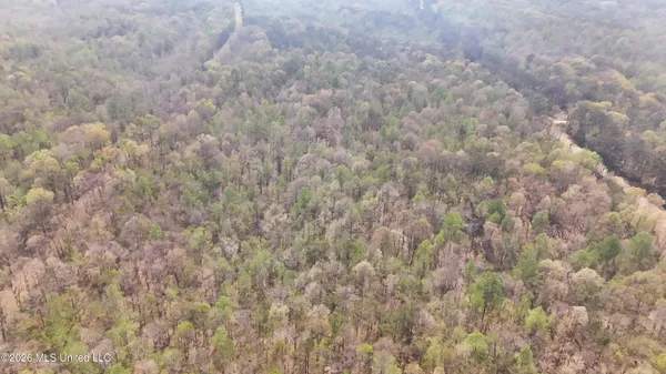 $295,200 | Ms-17, Coila, MS 38923