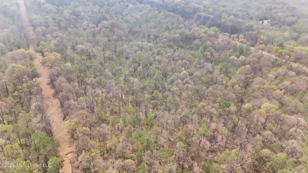 $295,200 | Ms-17, Coila, MS 38923