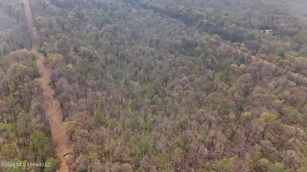 $295,200 | Ms-17, Coila, MS 38923