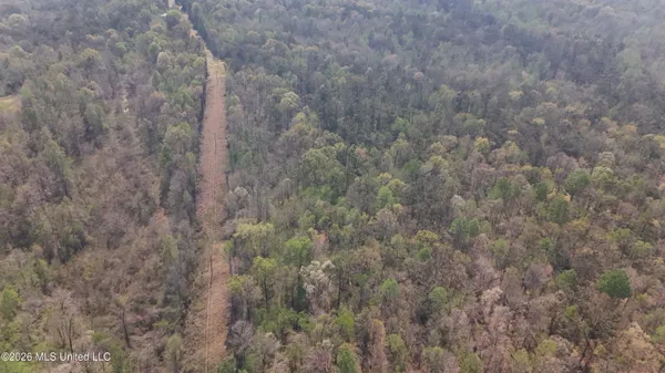 $295,200 | Ms-17, Coila, MS 38923