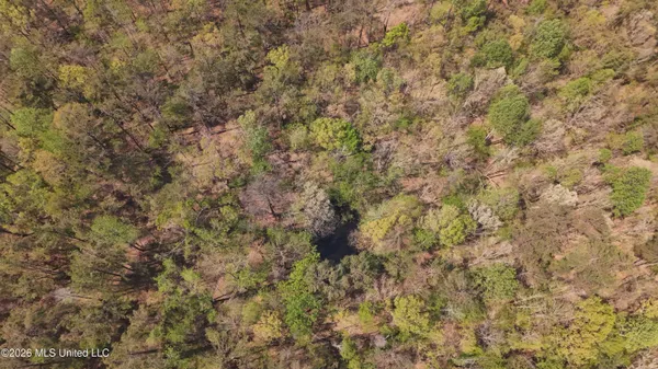 $295,200 | Ms-17, Coila, MS 38923