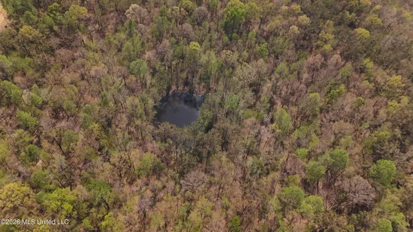 $295,200 | Ms-17, Coila, MS 38923