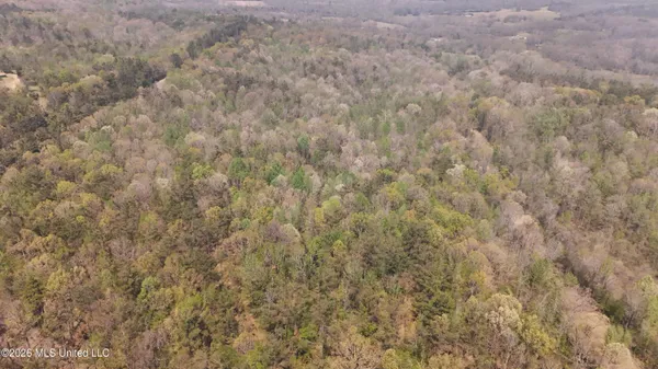 $295,200 | Ms-17, Coila, MS 38923