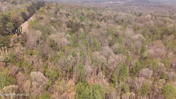 $295,200 | Ms-17, Coila, MS 38923