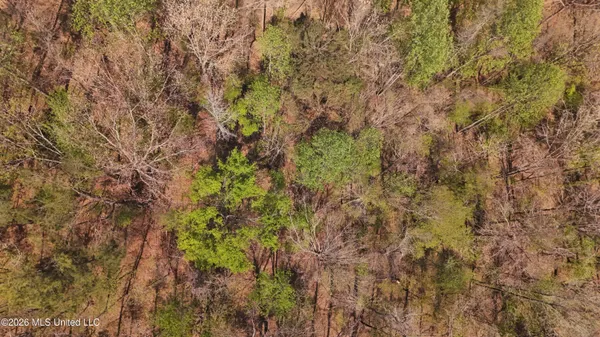 $295,200 | Ms-17, Coila, MS 38923