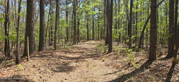 $295,200 | Ms-17, Coila, MS 38923