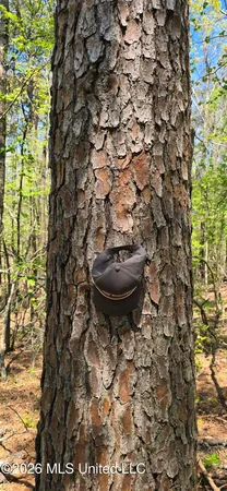 $295,200 | Ms-17, Coila, MS 38923