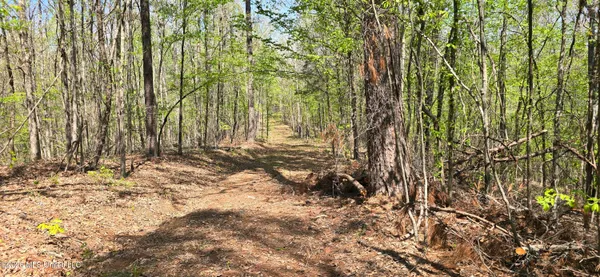 $295,200 | Ms-17, Coila, MS 38923