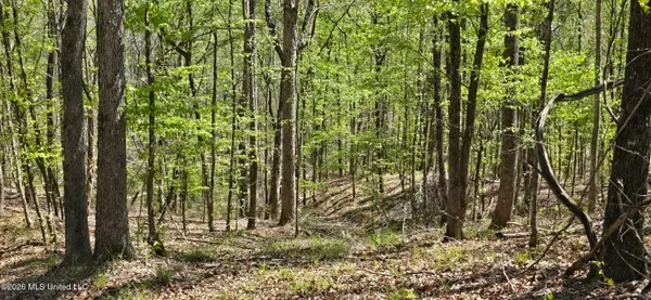 $295,200 | Ms-17, Coila, MS 38923