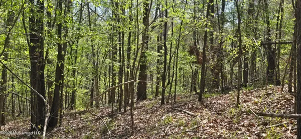 $295,200 | Ms-17, Coila, MS 38923