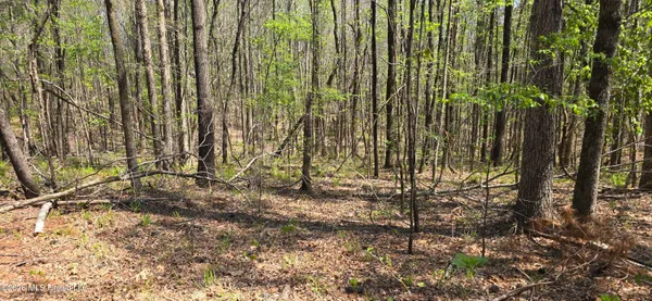 $295,200 | Ms-17, Coila, MS 38923