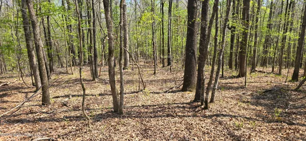 $295,200 | Ms-17, Coila, MS 38923