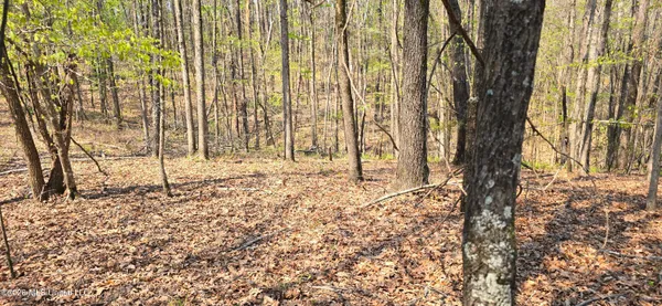 $295,200 | Ms-17, Coila, MS 38923