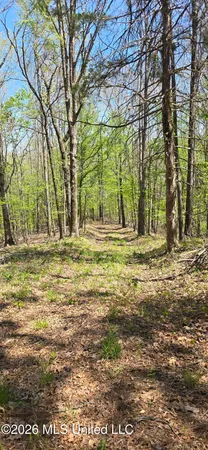 $295,200 | Ms-17, Coila, MS 38923