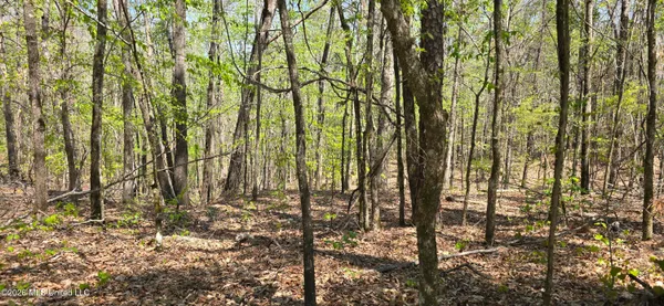 $295,200 | Ms-17, Coila, MS 38923