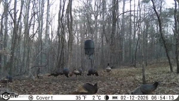 $295,200 | Ms-17, Coila, MS 38923